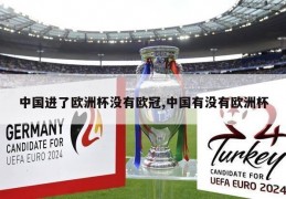 中国进了欧洲杯没有欧冠,中国有没有欧洲杯
