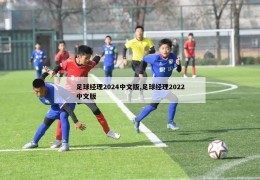 足球经理2024中文版,足球经理2022中文版